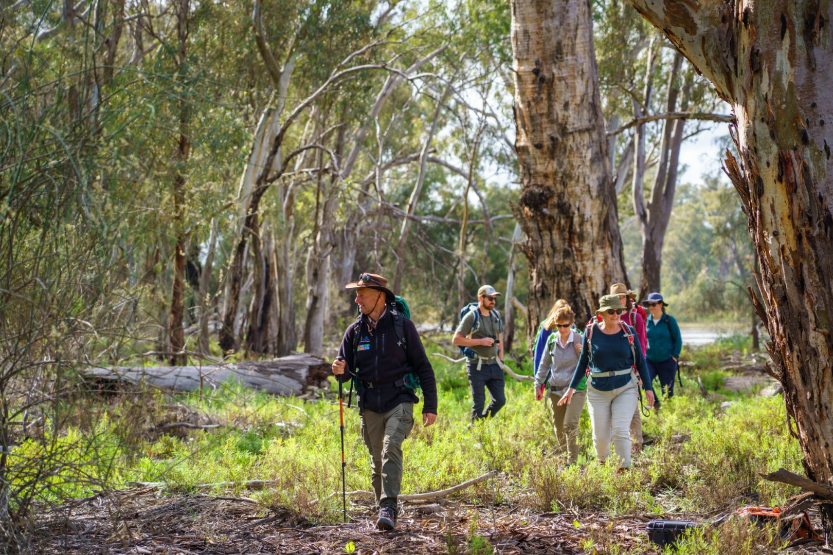 SA_MurrayRiverWalk_MurrayRiverTrails_GuidedWalk_2022_Landscape_Redgums.jpg